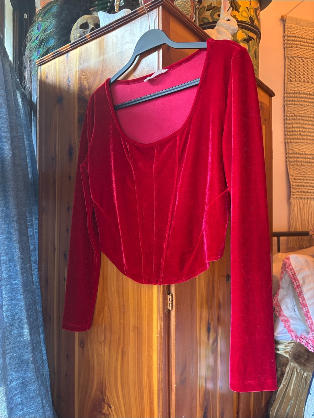 Elodie Red Velvet Long-Sleeve Crop Top